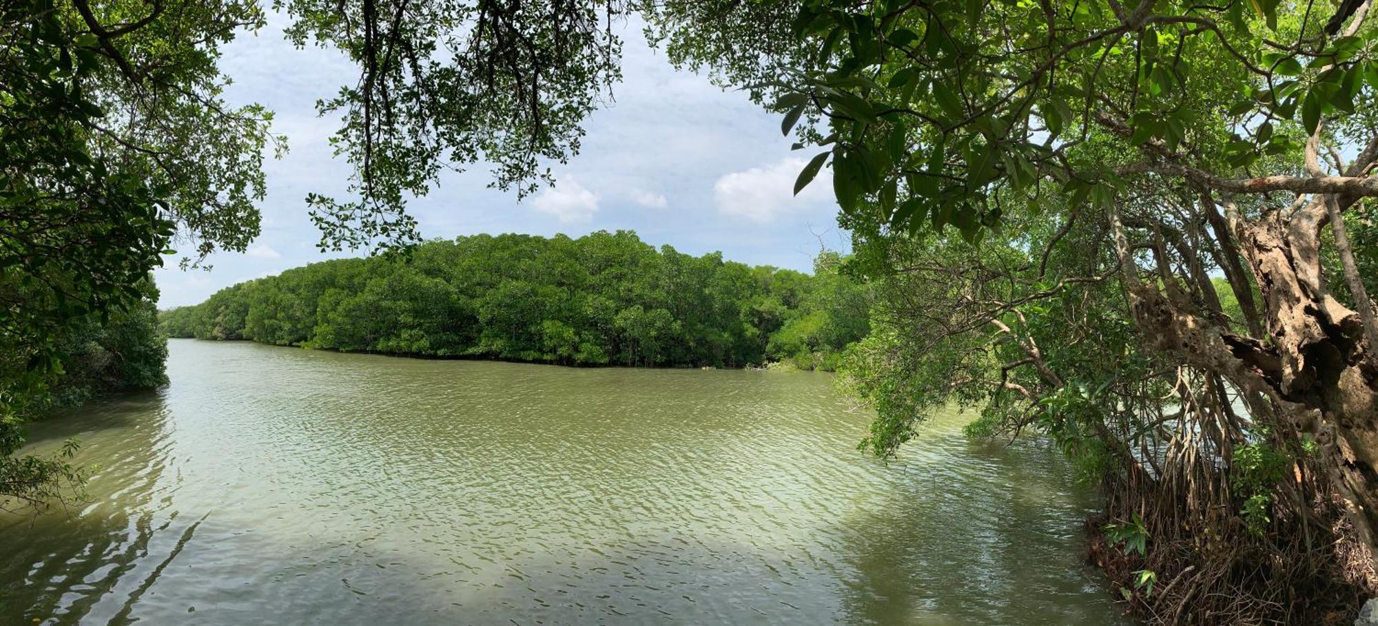 Villa De Lagoon View Tangalle Εξωτερικό φωτογραφία