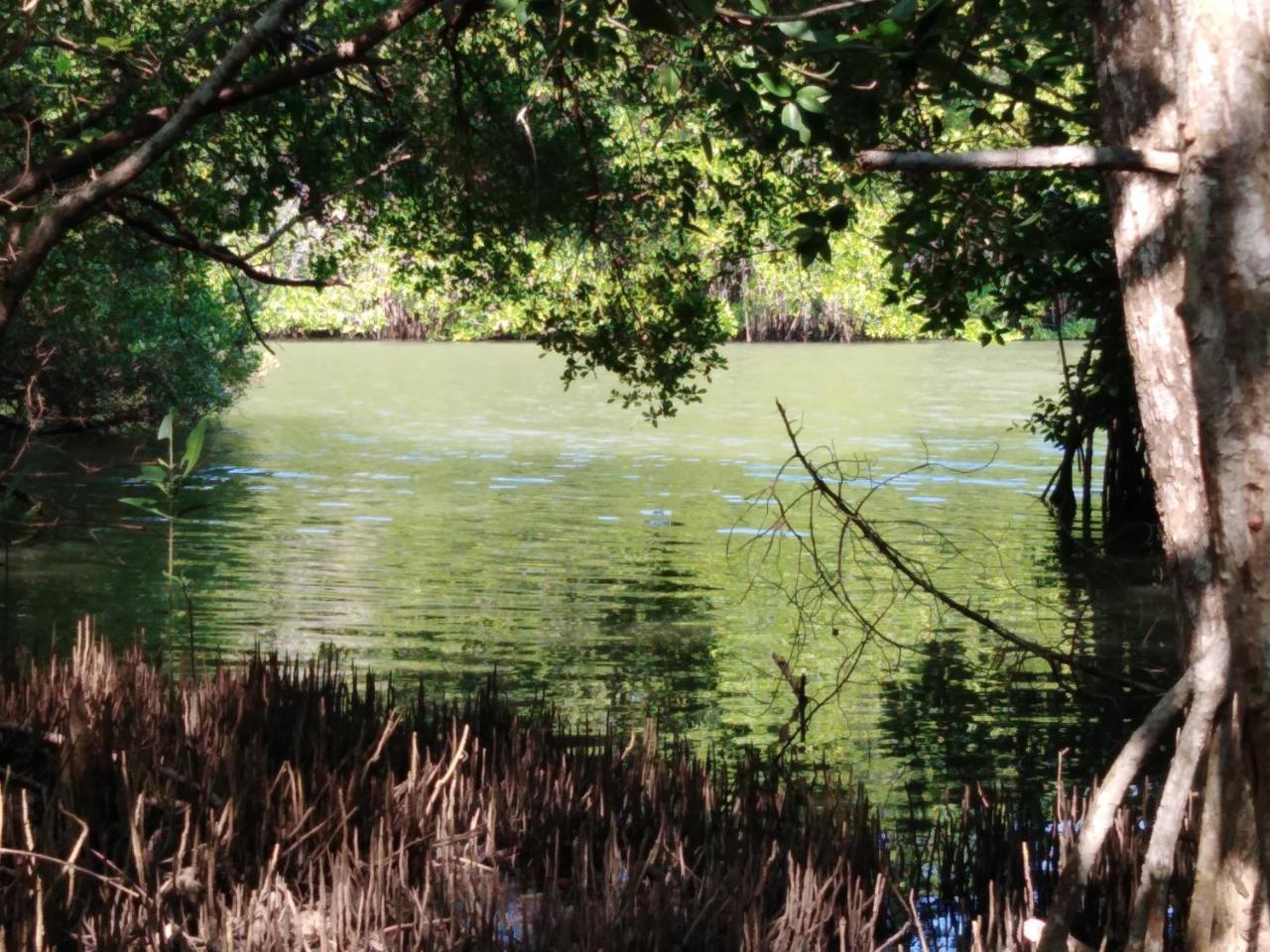 Villa De Lagoon View Tangalle Εξωτερικό φωτογραφία