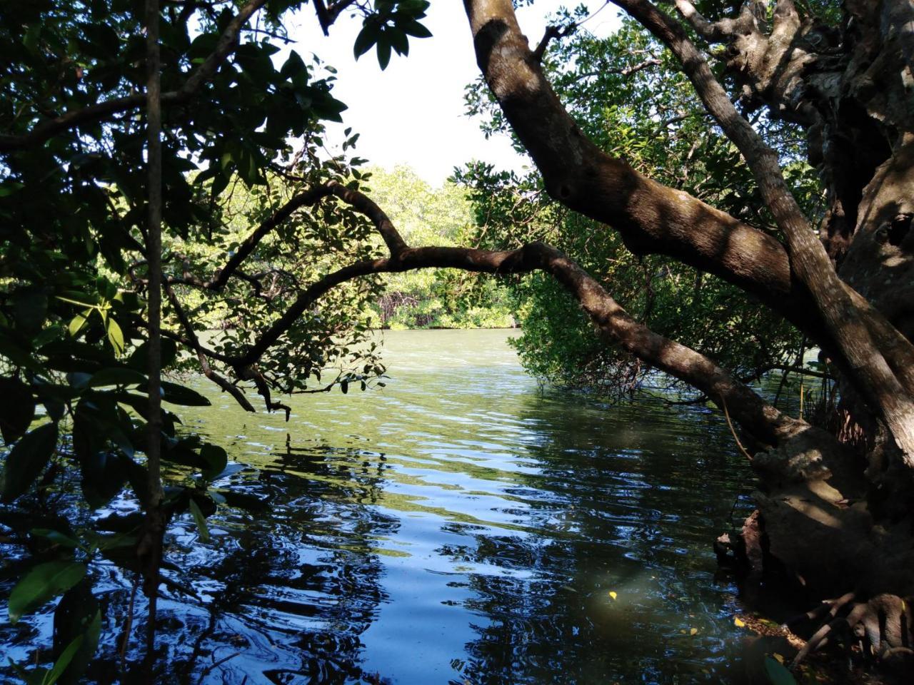 Villa De Lagoon View Tangalle Εξωτερικό φωτογραφία